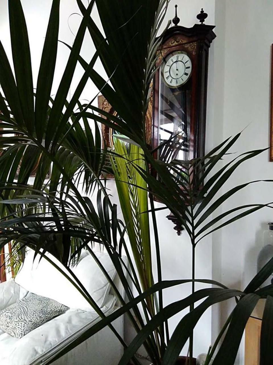Il Camaleonte Villa Bracciano  Dış mekan fotoğraf